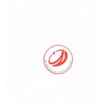 PT Digital Solid Technology Logo